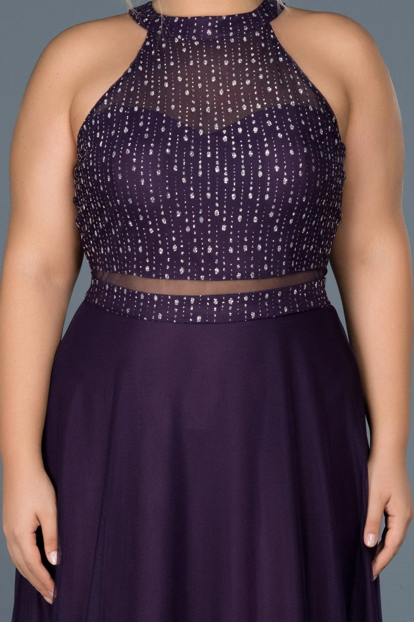 15677 Purple Shimmer Transparent Tulle Dress