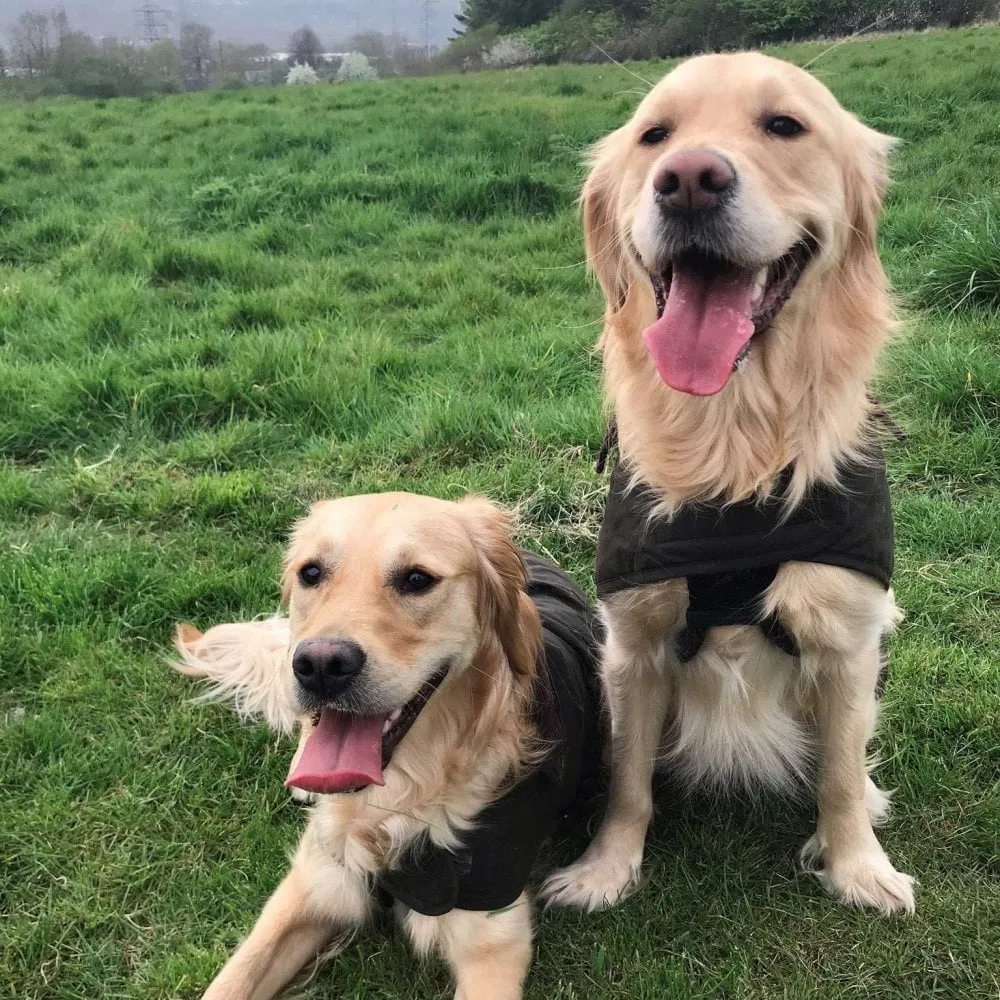 Barbour New Fleece Lined Wax Utility Dog Coat