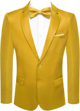 Hi-Tie Mens Blazer Jacket One Button Suit Silk Satin Light Weight Suit Paisley Solid Casual Sport Coats Tuxedo Jacket