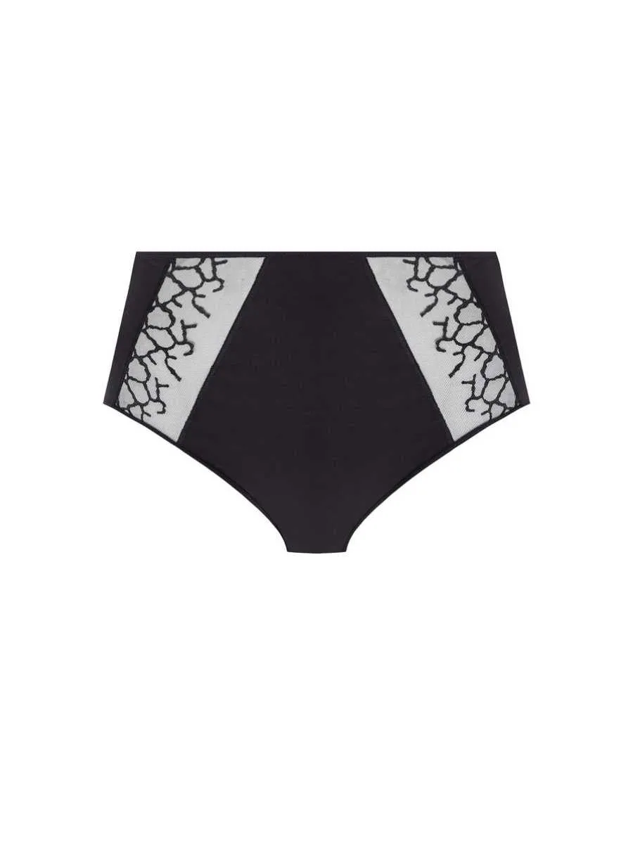 Lisse Full Brief