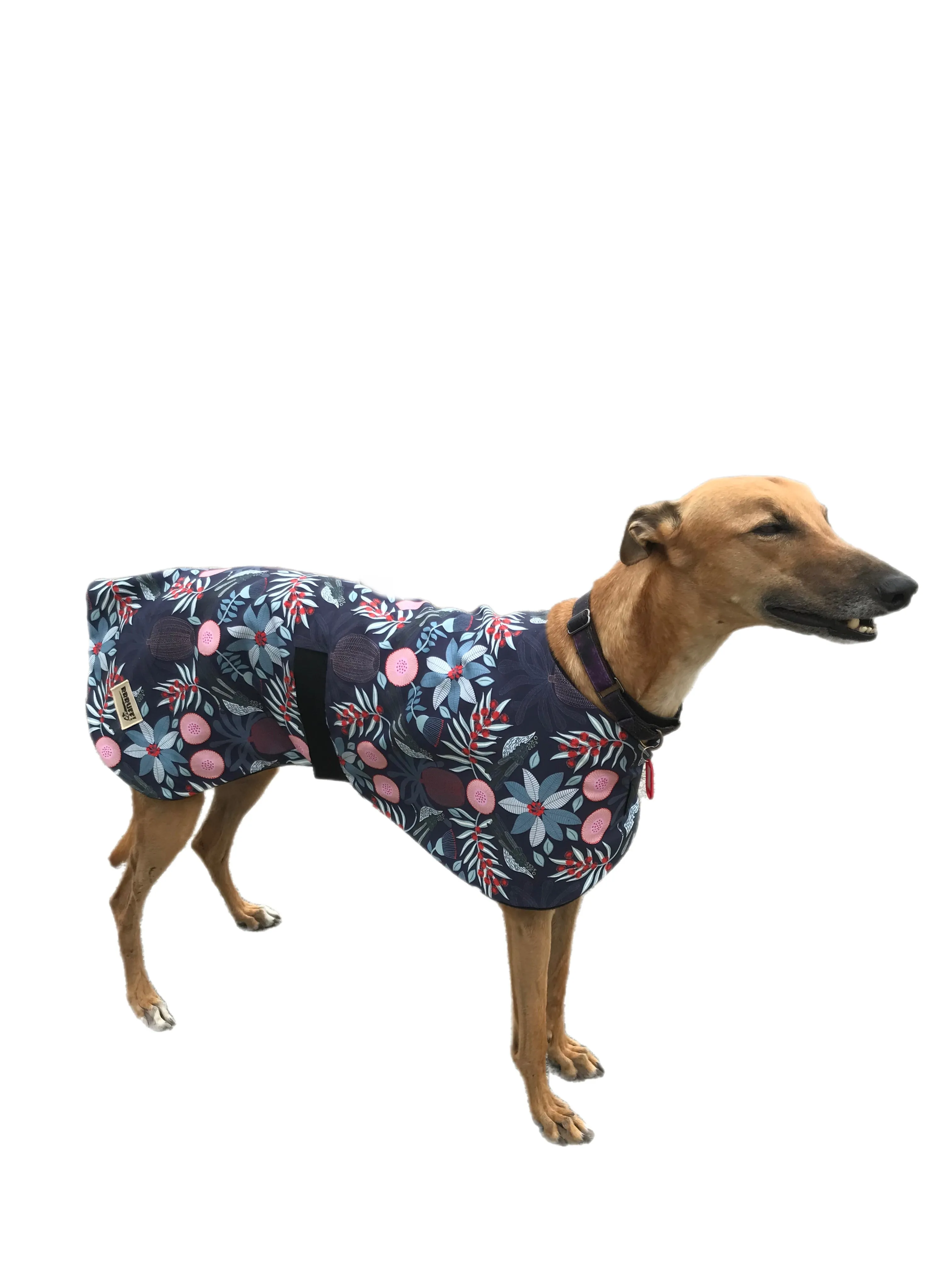 Oops a small flaw in fabric. Australiana bottlebrush design greyhound lightweight coat cotton fleece. Second