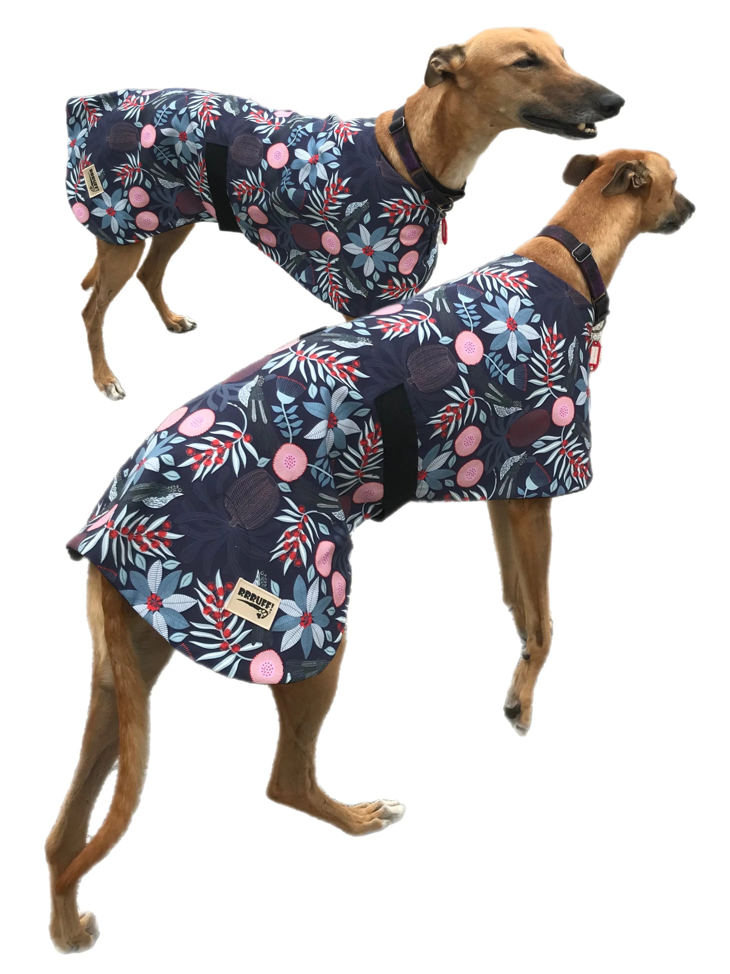 Oops a small flaw in fabric. Australiana bottlebrush design greyhound lightweight coat cotton fleece. Second