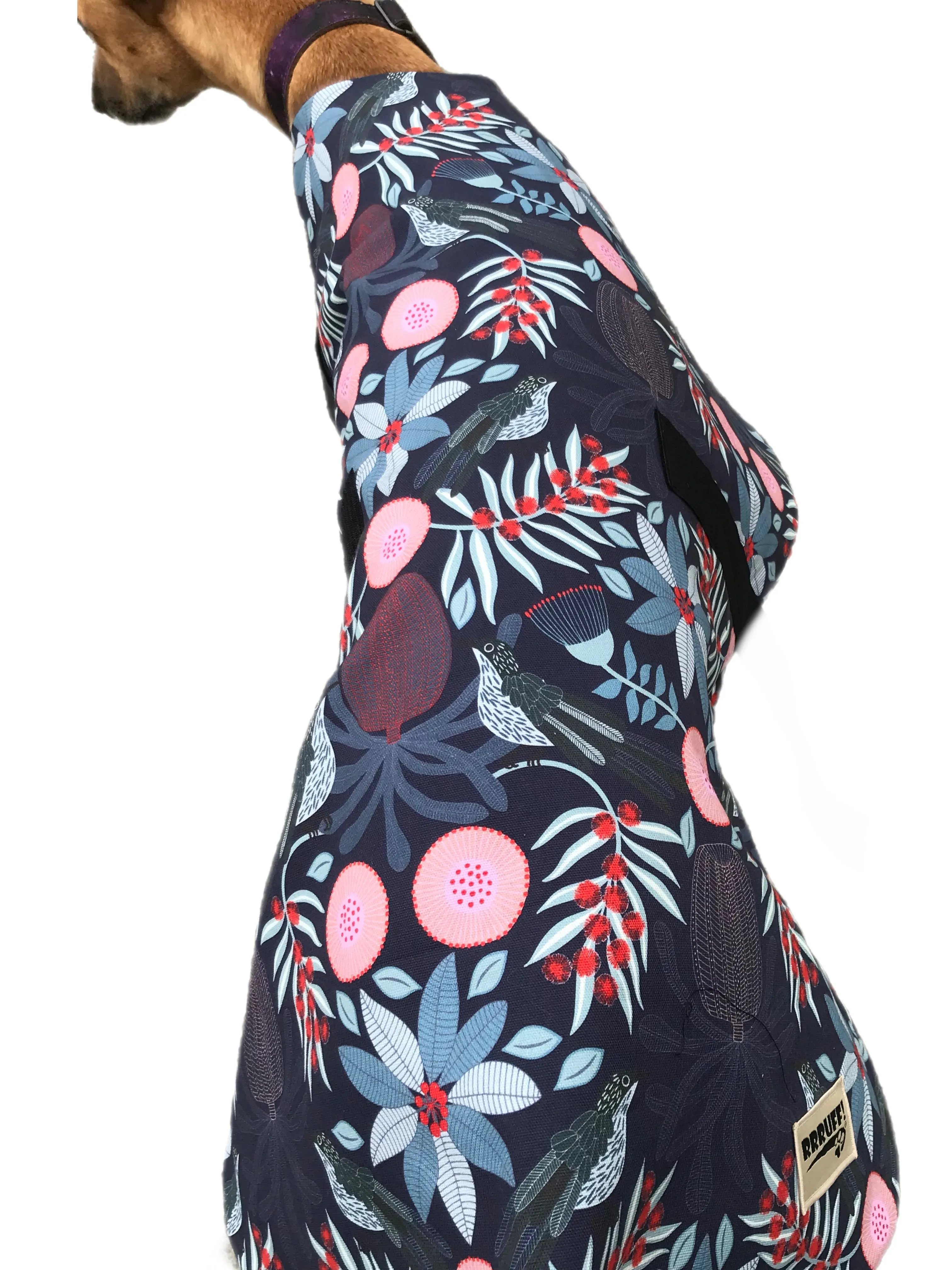 Oops a small flaw in fabric. Australiana bottlebrush design greyhound lightweight coat cotton fleece. Second