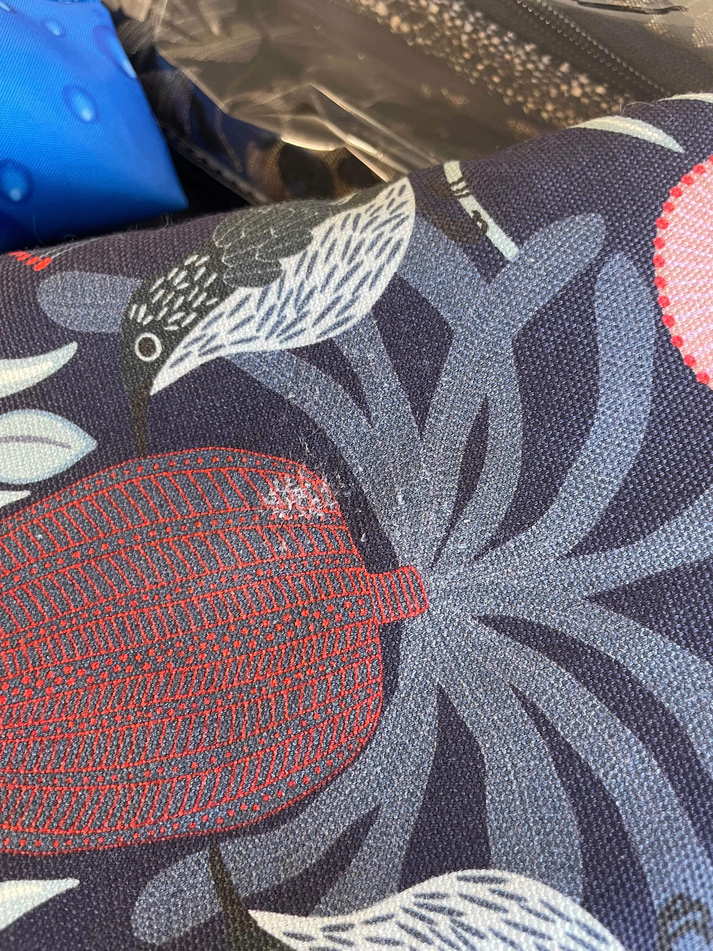 Oops a small flaw in fabric. Australiana bottlebrush design greyhound lightweight coat cotton fleece. Second